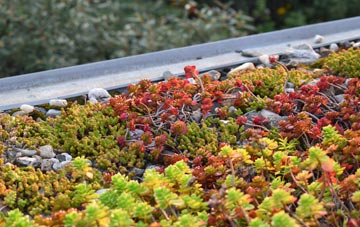 the cost of Barnaby Green green roof installation
